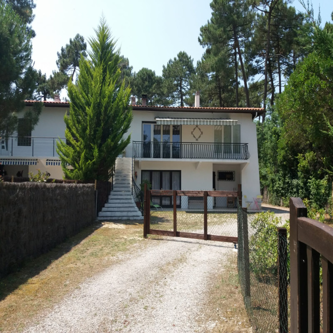 Immobilier Petit Piquey Lege Cap Ferret Annonces Immobilieres Petit Piquey Lege Cap Ferret