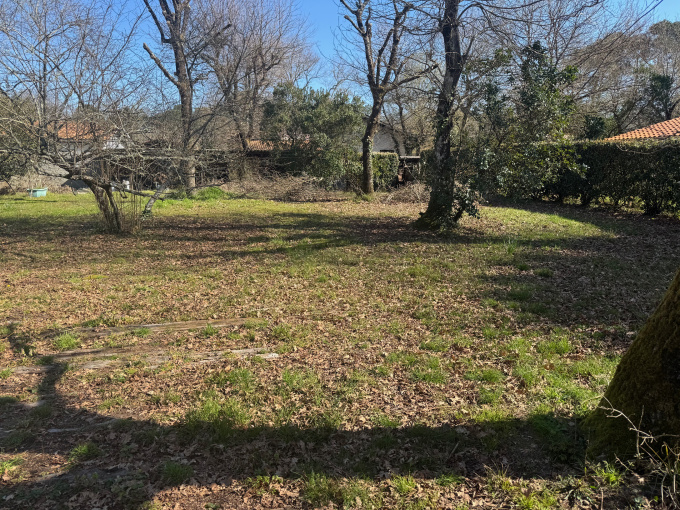 Offres de vente Terrain Lège-Cap-Ferret (33950)
